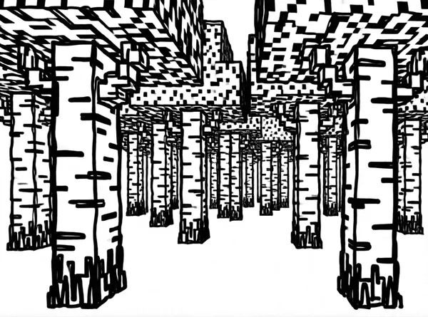 Birch Forest