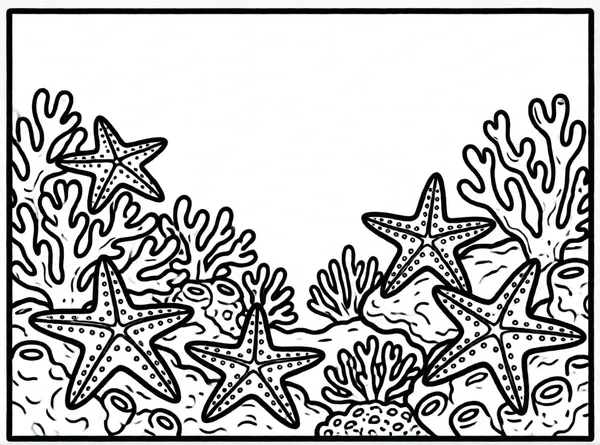 estrellas de mar en el fondo